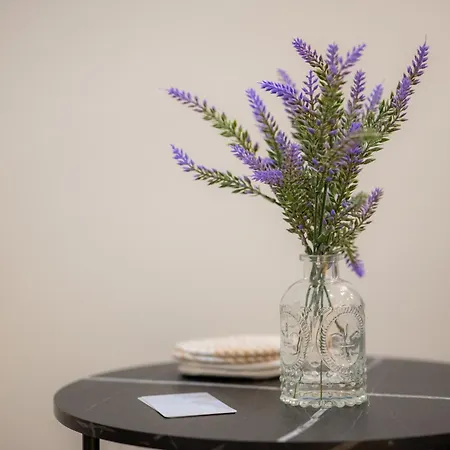 Vayas Residences - Agora Appartement *